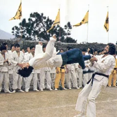 Enter the Dragon 3D film artwork